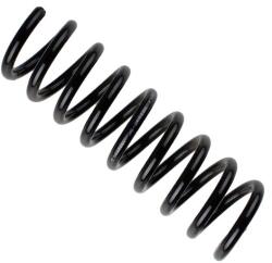 BILSTEIN 36-266166 Arc spiral