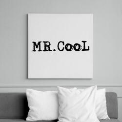 printfashion Mr. Cool - Vászonkép - Fehér (6625311)