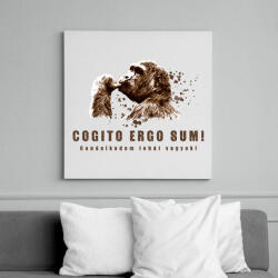 printfashion Gondolkodom tehát vagyok - Vászonkép - Fehér (6625813)