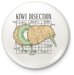 printfashion Kiwi anatómia - Kitűző, hűtőmágnes - Fehér (14677747)