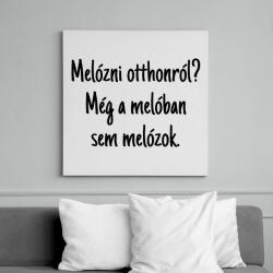 printfashion Melóban sem melózok. . . - Vászonkép - Fehér (6633228)