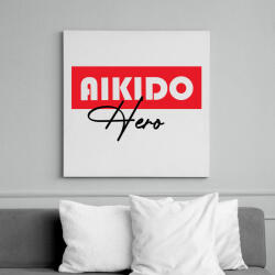 printfashion Aikido hero - Vászonkép - Fehér (7565551)