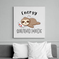 printfashion Lajhár Energy saving mode - Vászonkép - Fehér (14382117)