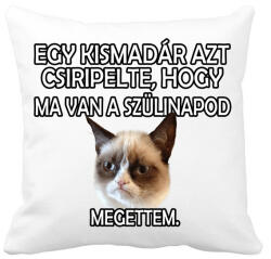 printfashion Szülinapi Grumpy Cat - Párnahuzat, Díszpárnahuzat - Fehér (4776589)