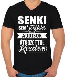 printfashion Az Audisok tökéletesek! - Férfi V-nyakú póló - Fekete (7048180)