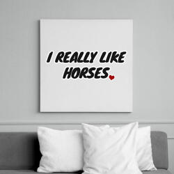 printfashion I really - Vászonkép - Fehér (6633365)