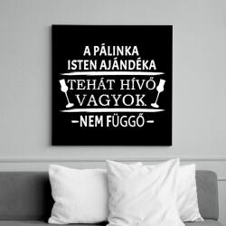 printfashion A pálinka isten ajándéka! - Vászonkép - Fekete (6657849)