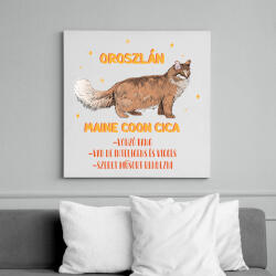 printfashion Oroszlán - Maine coon cica - Vászonkép - Fehér (13337431)