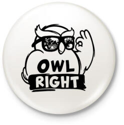 printfashion Owl right - Kitűző, hűtőmágnes - Fehér (4194897)