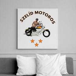 printfashion SZELÍD MOTOROS - Vászonkép - Fehér (6627061)