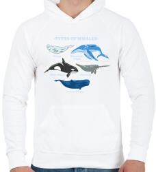 printfashion Bálna fajták - Férfi kapucnis pulóver - Fehér (13218298)