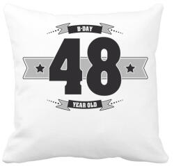 printfashion b-day-48-dark-lightgrey - Párnahuzat, Díszpárnahuzat - Fehér (512232)