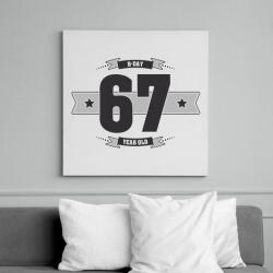 printfashion b-day-67-dark-lightgrey - Vászonkép - Fehér (6622848)