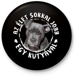 printfashion Pitbull - Kitűző, hűtőmágnes - Fekete (5438351)