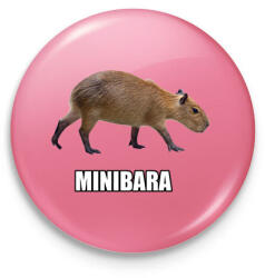 printfashion Capybara család - Minibara - Kitűző, hűtőmágnes - Rózsaszín (13855182)