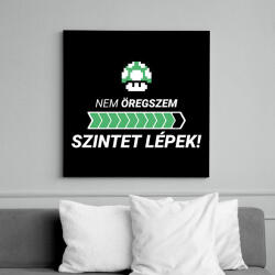 printfashion Nem öregszem! Szintet lépek! - Vászonkép - Fekete (11451741)