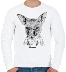 printfashion Kenguru - Férfi pulóver - Fehér (1538742)