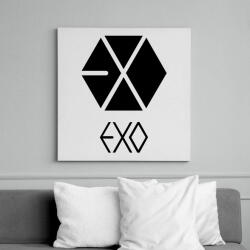 printfashion exo logo - Vászonkép - Fehér (6632162)