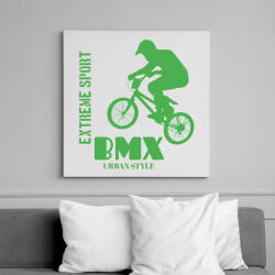 printfashion Bmx - Vászonkép - Fehér (6634746)