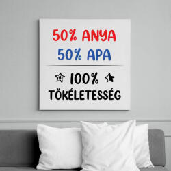 printfashion 100% tökéletesség - Vászonkép - Fehér (7275698)