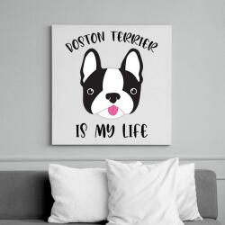 printfashion Boston terrier is my life - Vászonkép - Fehér (7099527)