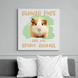 printfashion Guinea pigs are my spirit animal - Vászonkép - Fehér (7093920)