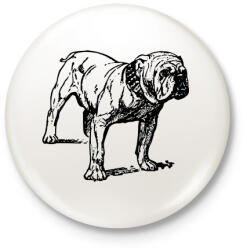 printfashion Angol buldog - English bulldog - Kitűző, hűtőmágnes - Fehér (12072266)