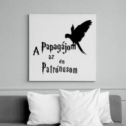 printfashion A Papagájom az én Patrónusom - Vászonkép - Fehér (16502050)