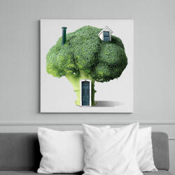 printfashion Brokkoli ház - Vászonkép - Fehér (6640028)