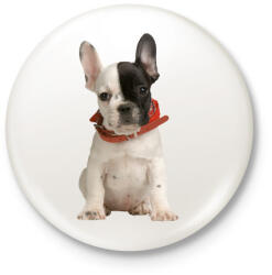 printfashion Francia bulldog - Kitűző, hűtőmágnes - Fehér (3077992)
