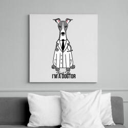 printfashion DoGtor - Vászonkép - Fehér (6633331)