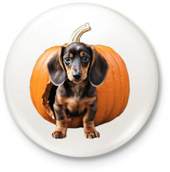 printfashion Tacskó tökben - Kitűző, hűtőmágnes - Fehér (14542790)