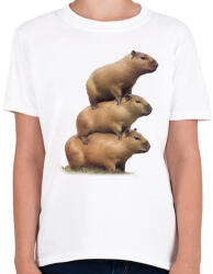 printfashion Capybara kupac - Gyerek póló - Fehér (13991363)