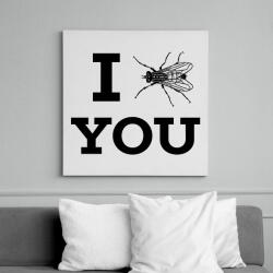 printfashion I FLY YOU - Vászonkép - Fehér (10540975)