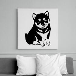 printfashion Husky - Vászonkép - Fehér (6636544)