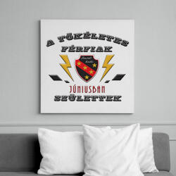 printfashion Tökéletes férfi június - Vászonkép - Fehér (6632441)