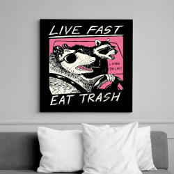 printfashion Live fast, eat trash - Vászonkép - Fekete (16020492)
