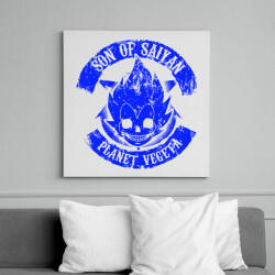 printfashion Planet Vegeta - Son of Saiyan - Vászonkép - Fehér (6624828)