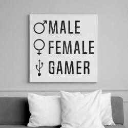 printfashion Male-Female-Gamer - Vászonkép - Fehér (6627597)