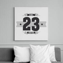 printfashion b-day-23-dark-lightgrey - Vászonkép - Fehér (6622802)