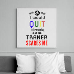 printfashion I would stop but my trener scares me - Vászonkép - Fehér (6629166)