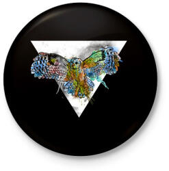 printfashion Színes bagoly - Kitűző, hűtőmágnes - Fekete (3092823)