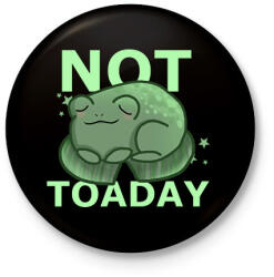 printfashion not toad-day - Kitűző, hűtőmágnes - Fekete (15540067)