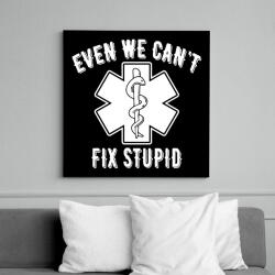 printfashion A hülyékre nincs gyógyszer - Vászonkép - Fekete (6648210)