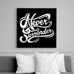 printfashion Sose add fel - Vászonkép - Fekete (6642471)