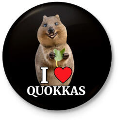 printfashion I love quakkas! - Kitűző, hűtőmágnes - Fekete (5149548)
