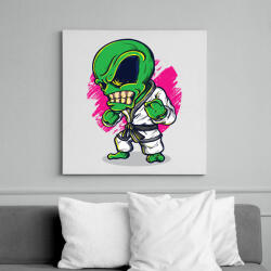 printfashion Karatés idegen - Vászonkép - Fehér (6620372)