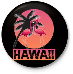 printfashion Hawaii - Kitűző, hűtőmágnes - Fekete (4739938)