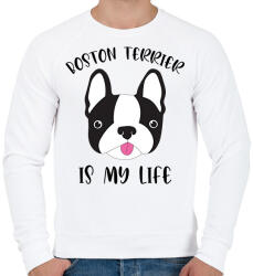 printfashion Boston terrier is my life - Férfi pulóver - Fehér (7098774)