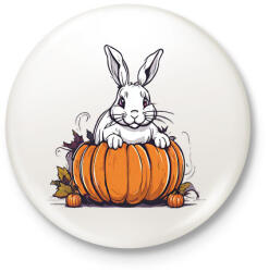 printfashion Nyuszi tökben - Kitűző, hűtőmágnes - Fehér (14531714)